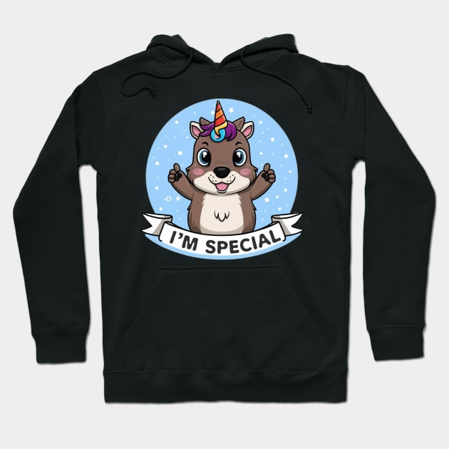 Special Hoodie by Jason's Finery